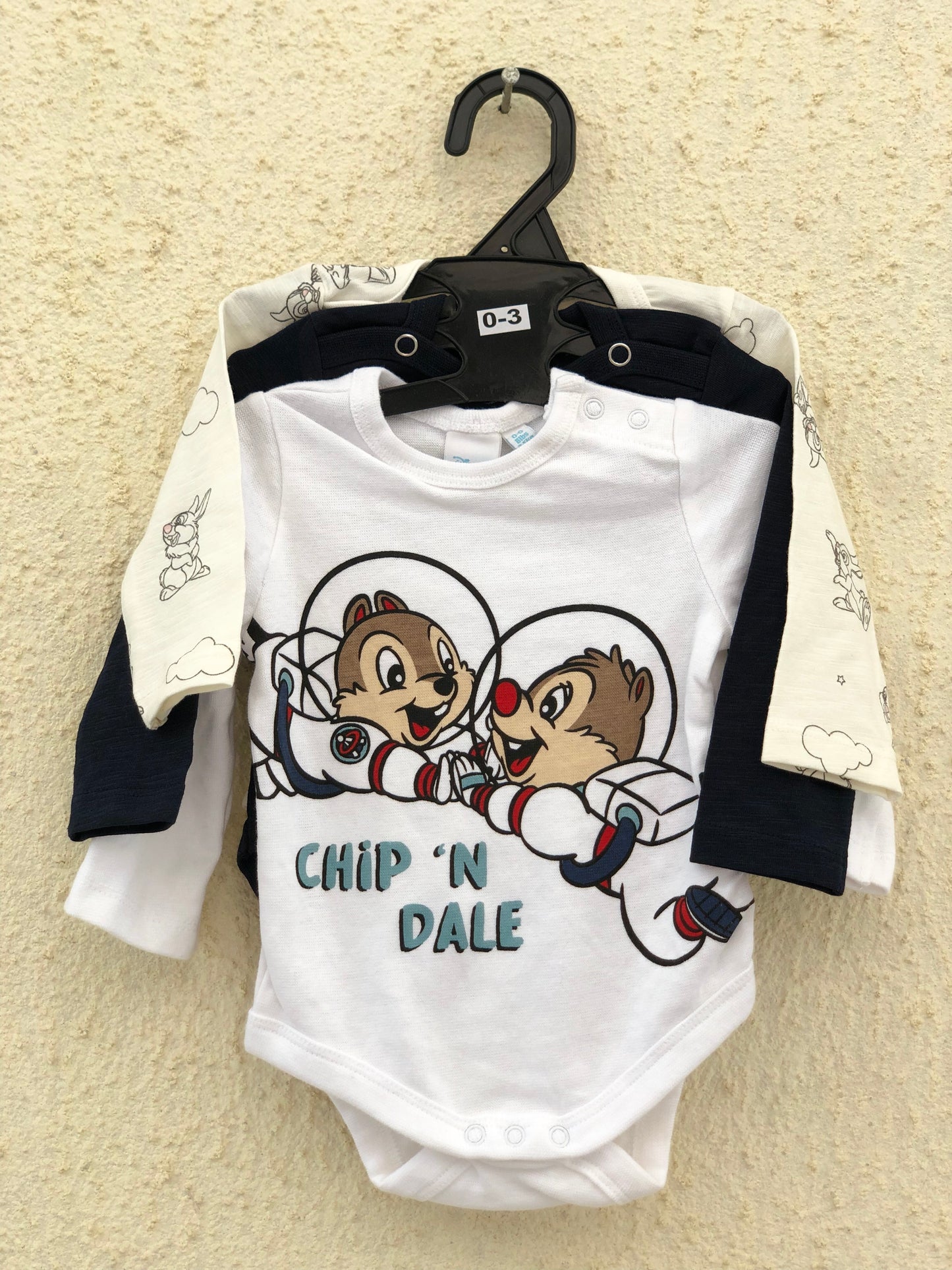 CHIP ‘N DALE